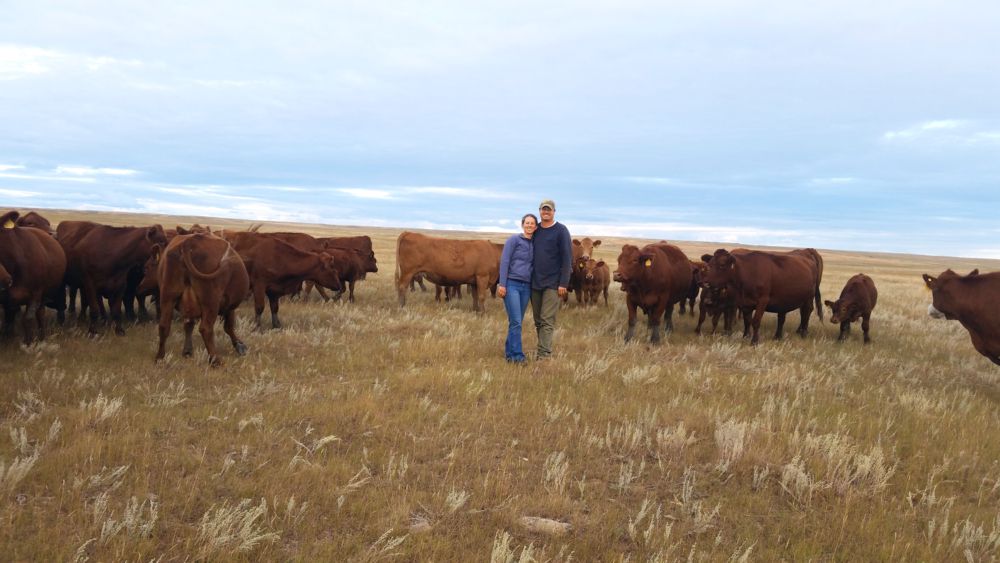 Regenerative Agriculture Spurs Growth on This Montana Farm